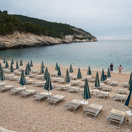 La Finestra Sul Mare - Antonella Apartment Vieste Kültér fotó