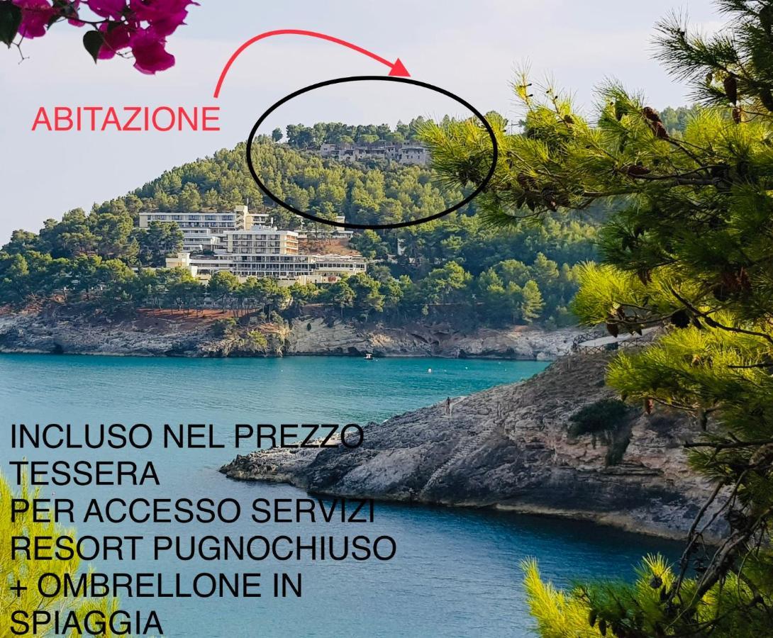 La Finestra Sul Mare - Antonella Apartment Vieste Kültér fotó